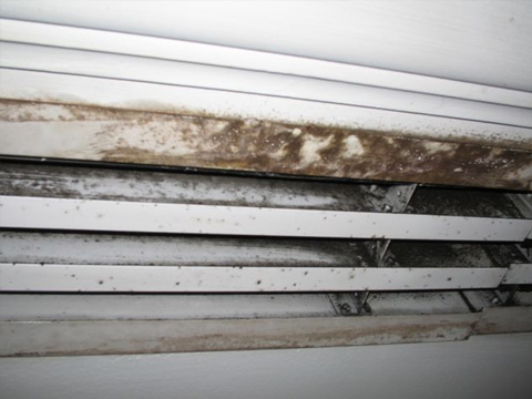 Bio-Decontamination and BioProtect Application on Air-con Supply Vents in a 5-Star Hotel
