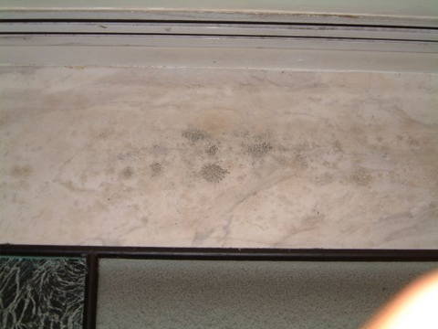 Environment Contaminated with Aspergillums Mold