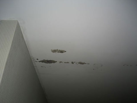 Hospital Contaminated with Microbial Growth Prior to Opening
