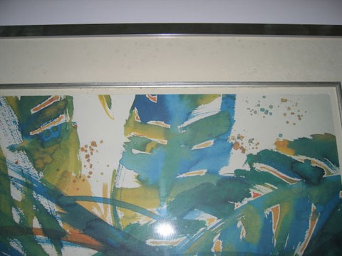 Micro-Organisms on a Picture Frame