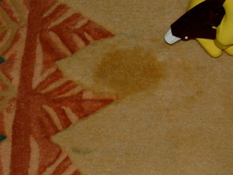 Permanent Stain Removal on Wool Carpet