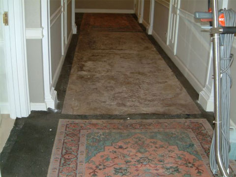 Rug Cleaning After Construction