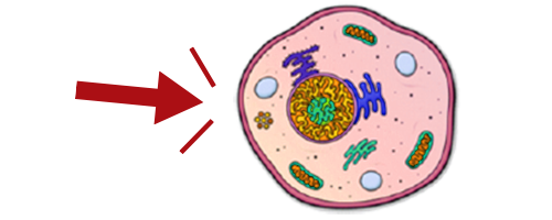 What Kills Virus?
