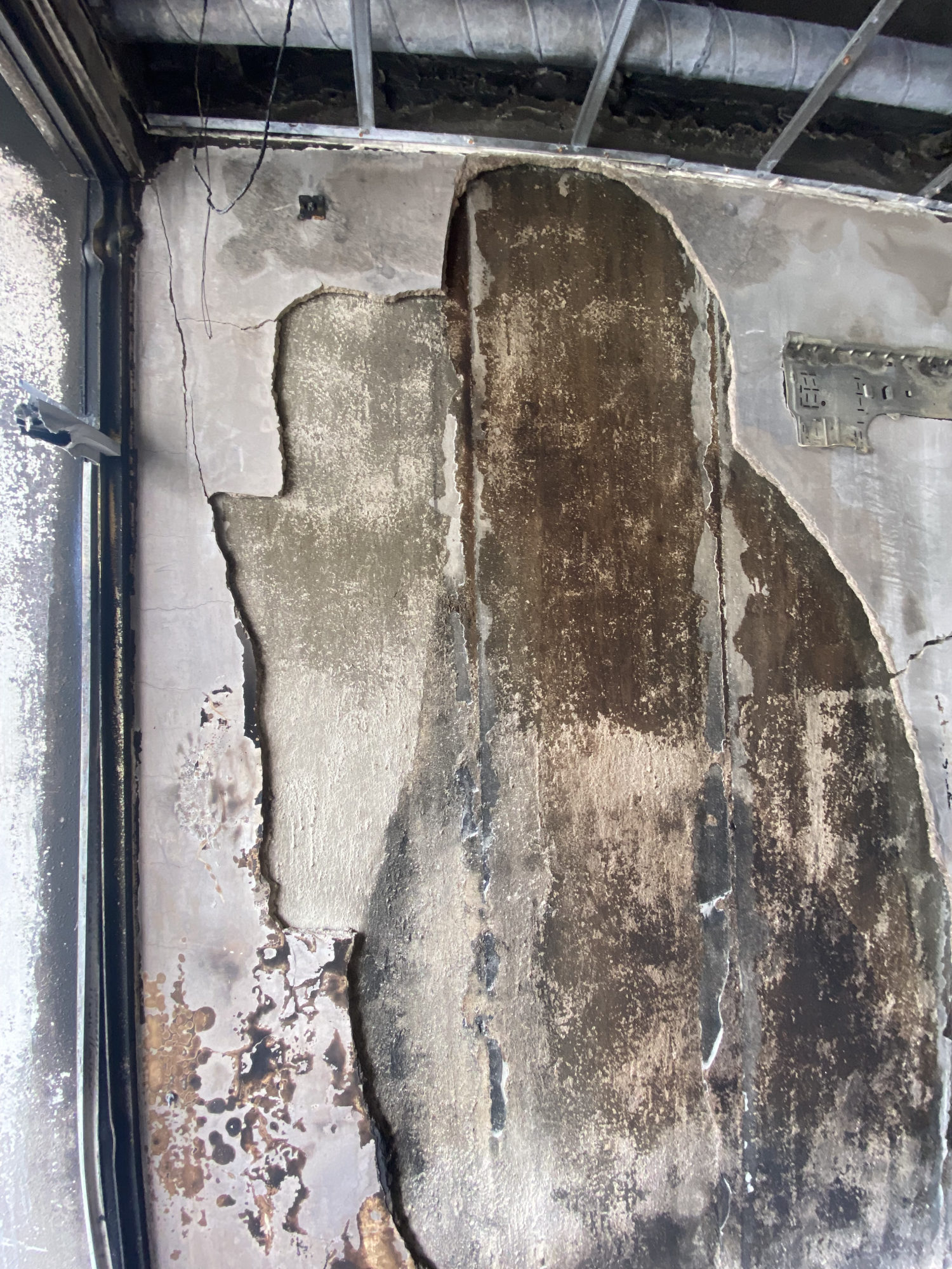 After a leak or flood: how to inspect your Singapore home for hidden mold before it spreads