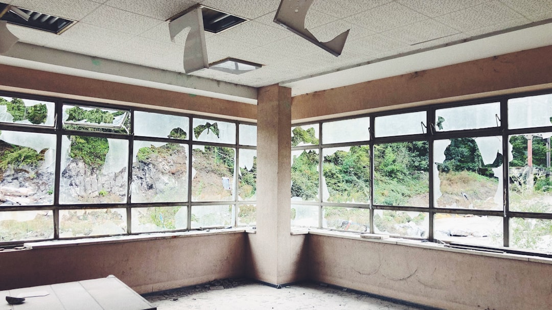 Water damage in a clinic: why a dehumidifier alone won't stop mold from coming back