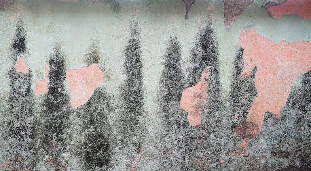 What a mold inspection actually finds inside Singapore walls (and why a visual check misses most of it)