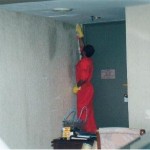 Germs Decontamination and Ox Bio Germ Shield Treatment on Microbial Infested Wall Paper