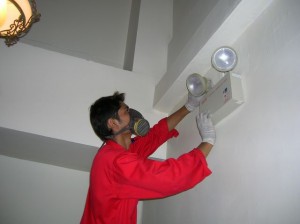 Alexandra Hospital Dry Fusion Paint