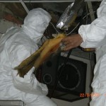 Removal and Reinstallation of Duct in an Auditorium After a Fire