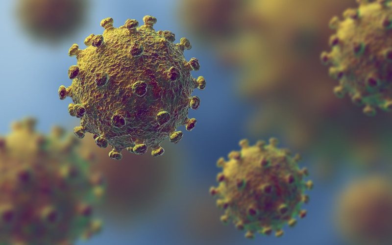 Coronavirus Outbreak | What to Do?