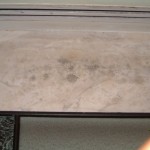Environment Contaminated with Aspergillums Mold