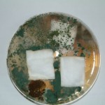 Aegis Treated Cotton