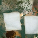 Aegis Treated Cotton