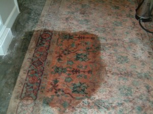 Rug Cleaning After Construction