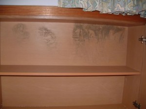 Mold Growth on Tampines Cupboard
