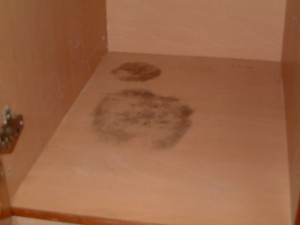 Mold Growth on Tampines Cupboard