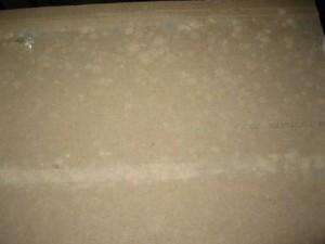 Hospital Contaminated with Microbial Growth Prior to Opening