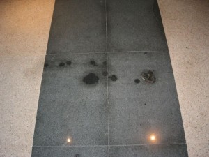 Hospital Contaminated with Microbial Growth Prior to Opening