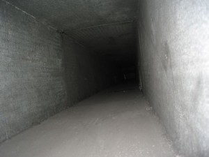 Hospital Contaminated with Microbial Growth Prior to Opening