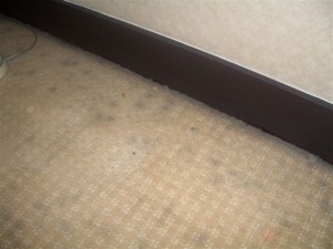 Restoration - Rasa Sentosa