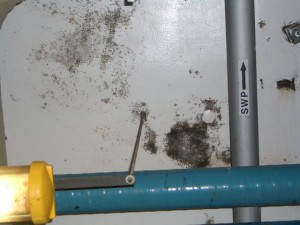 Production Facility Affected by Visible Mold Growth
